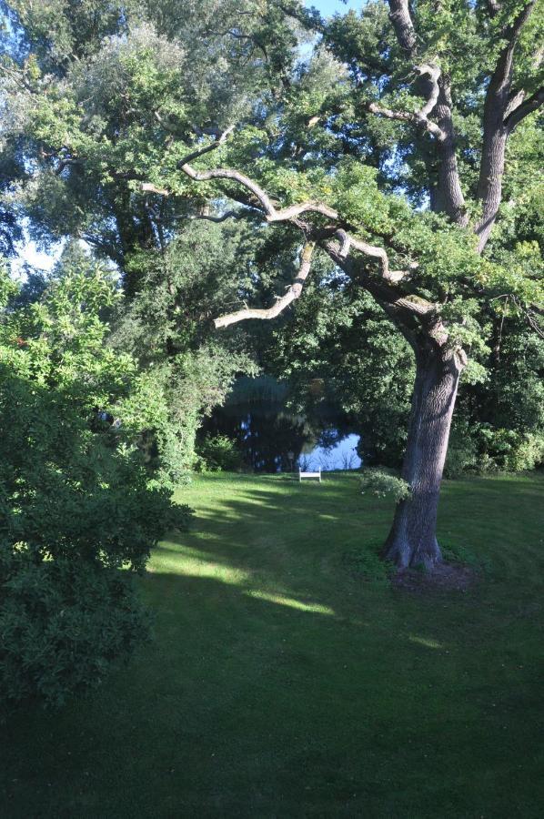 Gartenzimmer Im Schloss Neuhausen Neuhausen  Esterno foto