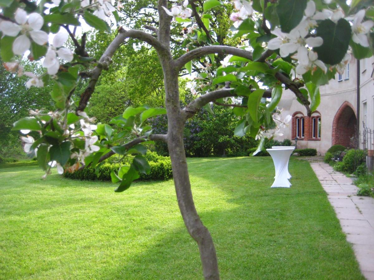 Gartenzimmer Im Schloss Neuhausen Neuhausen  Esterno foto