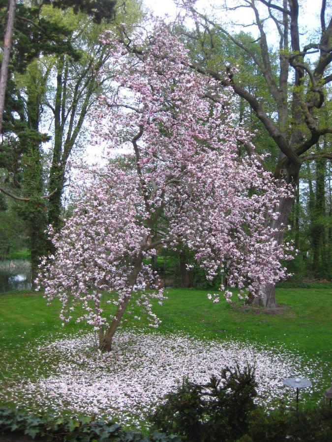 Gartenzimmer Im Schloss Neuhausen Neuhausen  Esterno foto