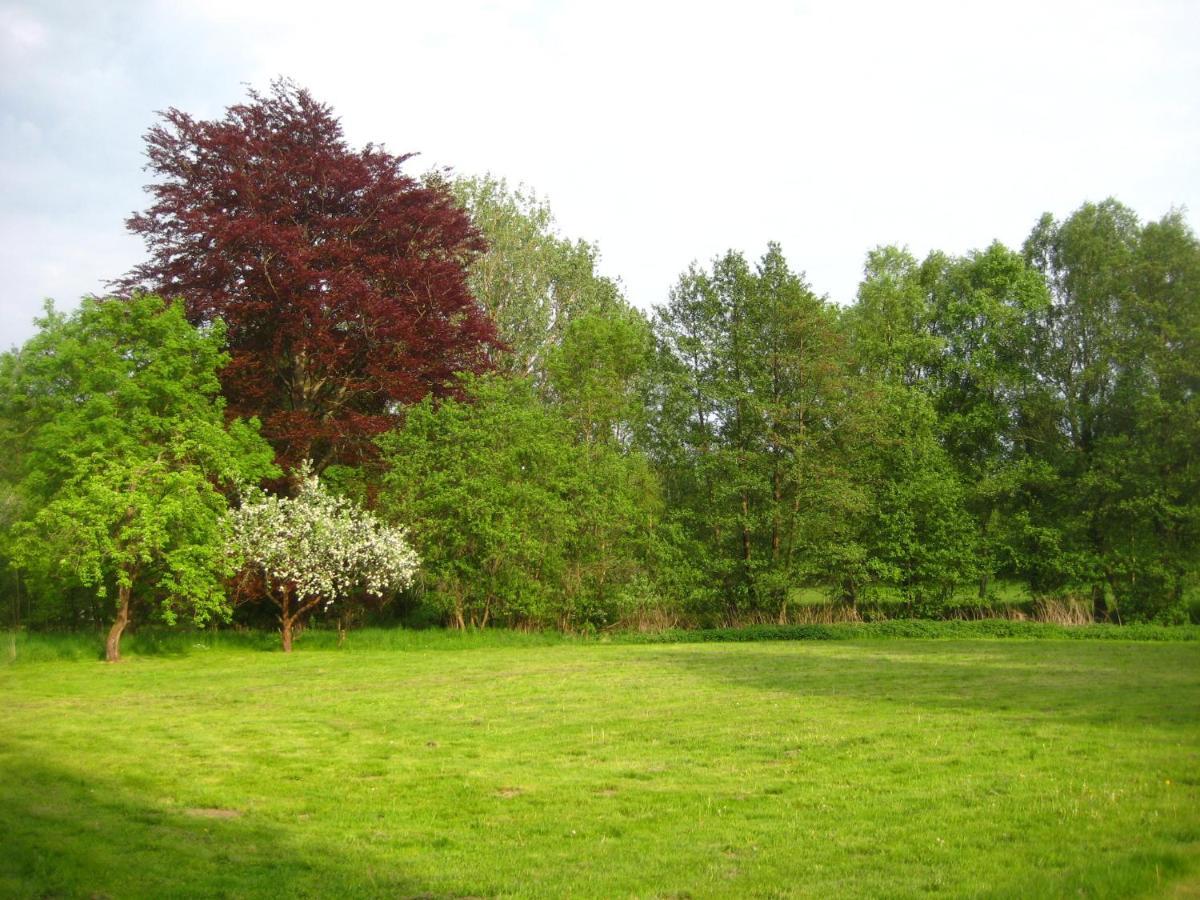 Gartenzimmer Im Schloss Neuhausen Neuhausen  Esterno foto