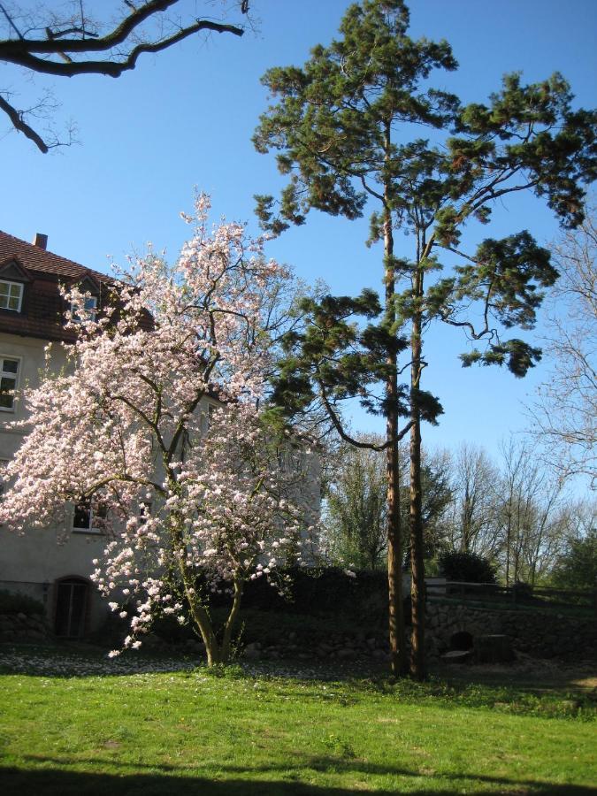 Gartenzimmer Im Schloss Neuhausen Neuhausen  Esterno foto